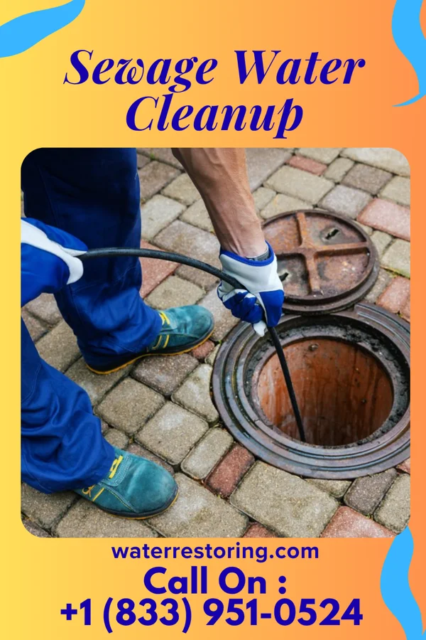 Sewage Water Cleanup in Wide Ruins, AZ